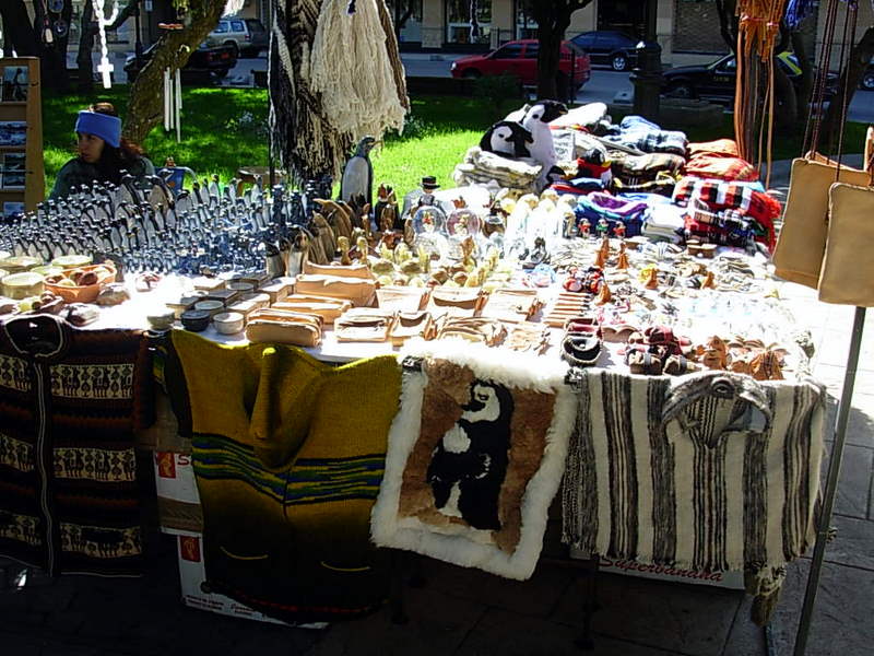 Foto de Punta Arenas, Chile