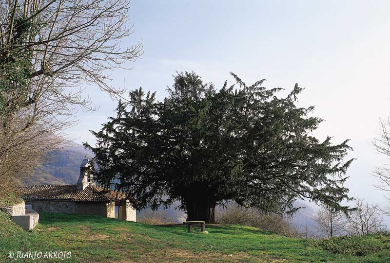 Foto de Quirós (Asturias), España