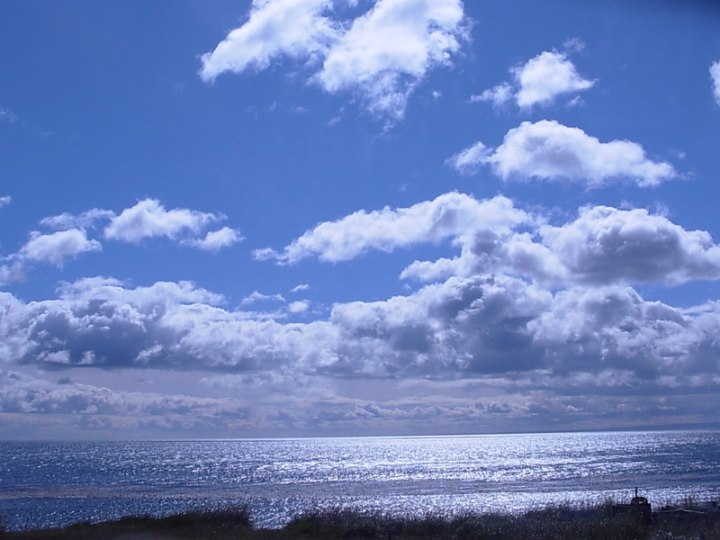 Foto de Punta Arenas, Chile