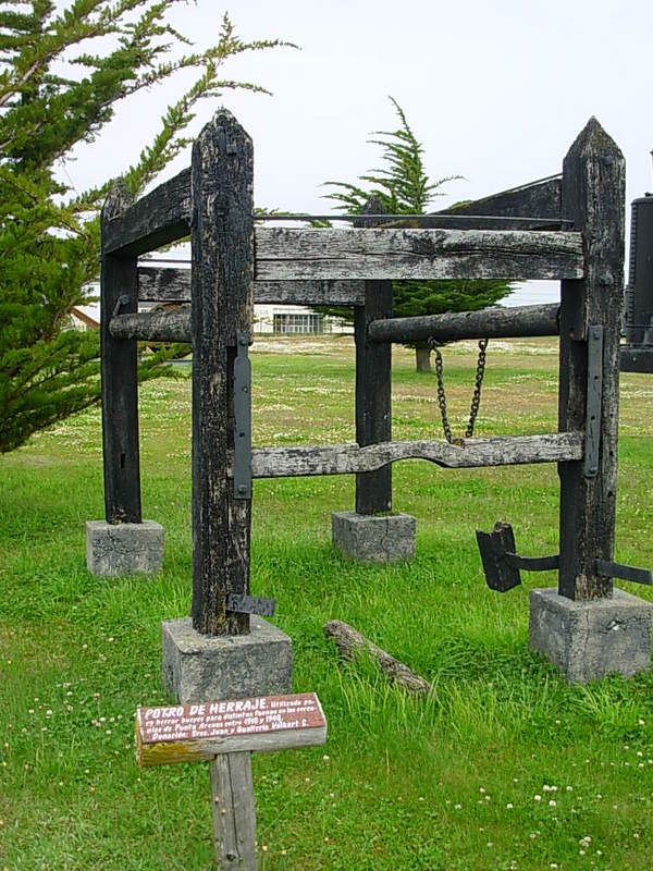 Foto de Punta Arenas, Chile