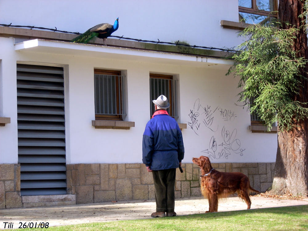 Foto de Oviedo (Asturias), España
