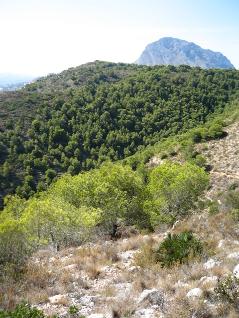 Foto de Montgó (València), España