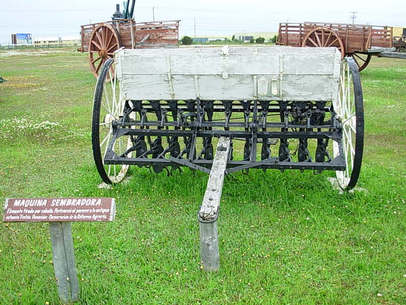 Foto de Punta Arenas, Chile