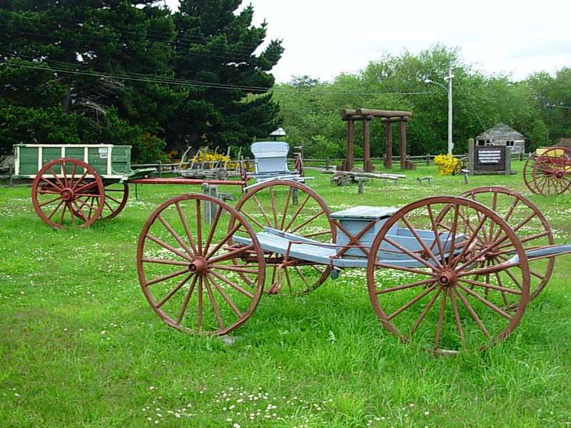 Foto de Punta Arenas, Chile