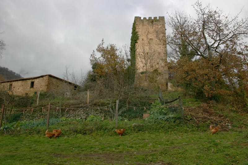 Foto de Mogrovejo (Cantabria), España