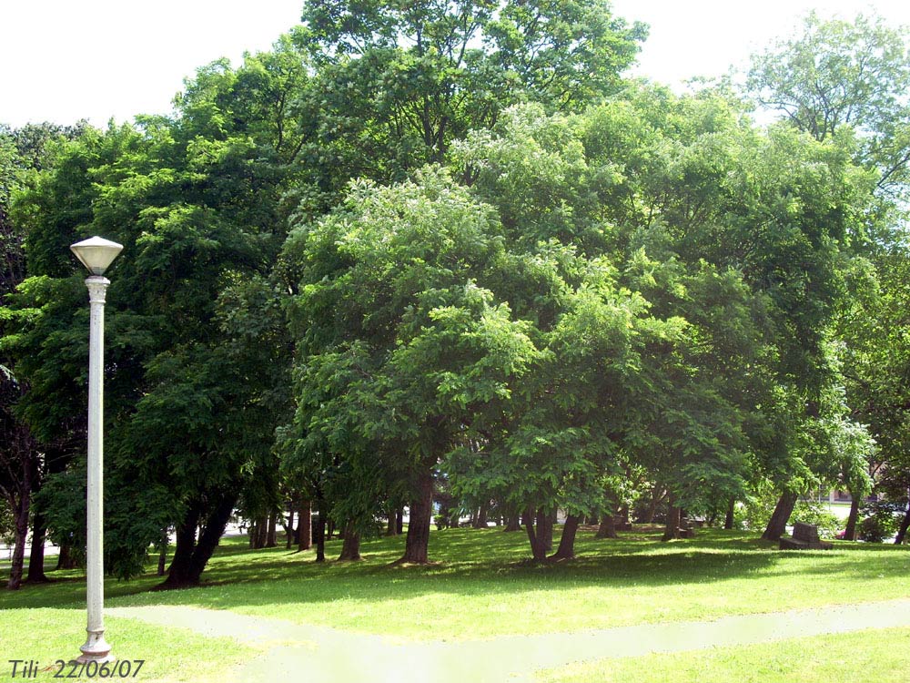 Foto de Avilés (Asturias), España