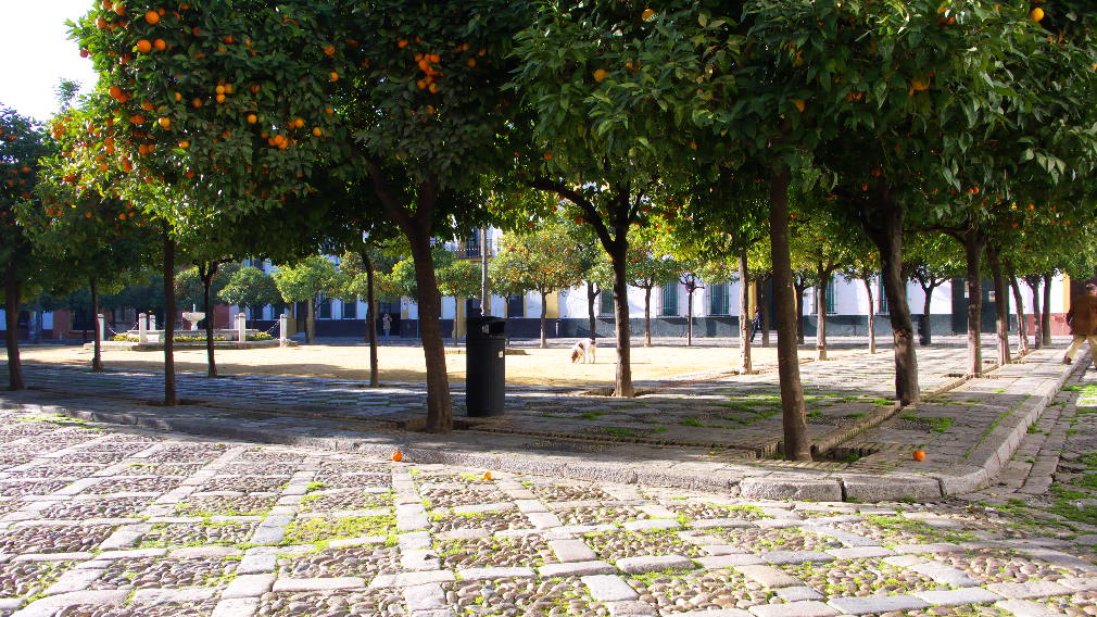 Foto de Sevilla (Andalucía), España