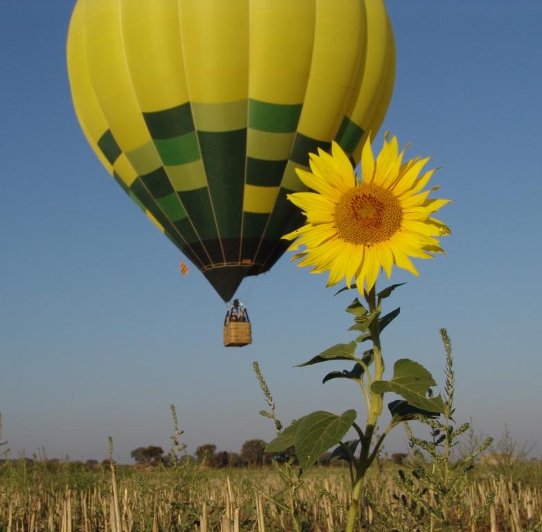 Foto de Guissona (Lleida), España