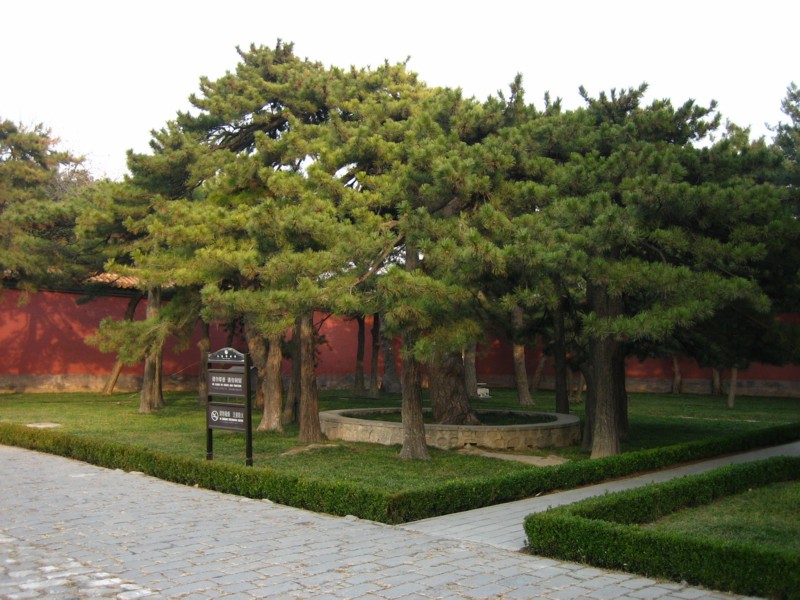 Foto de Beijing, China