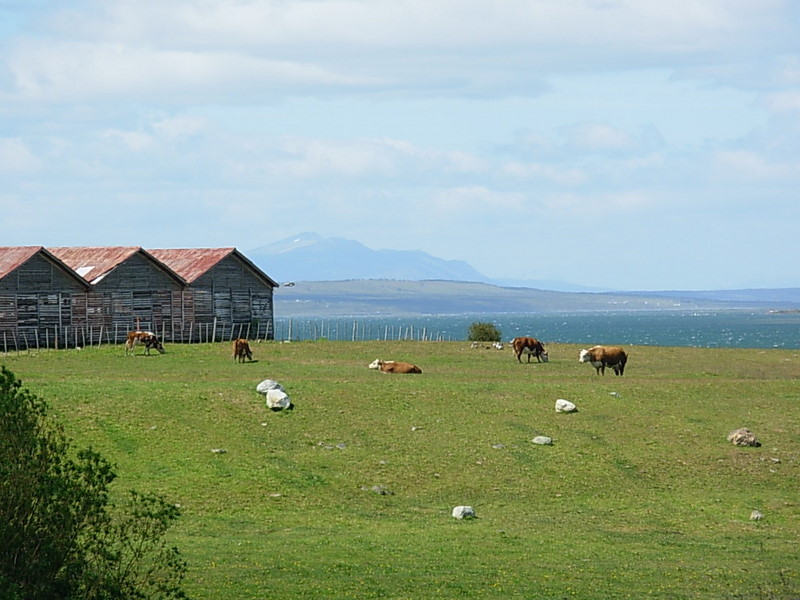 Foto de Puerto Bories, Chile