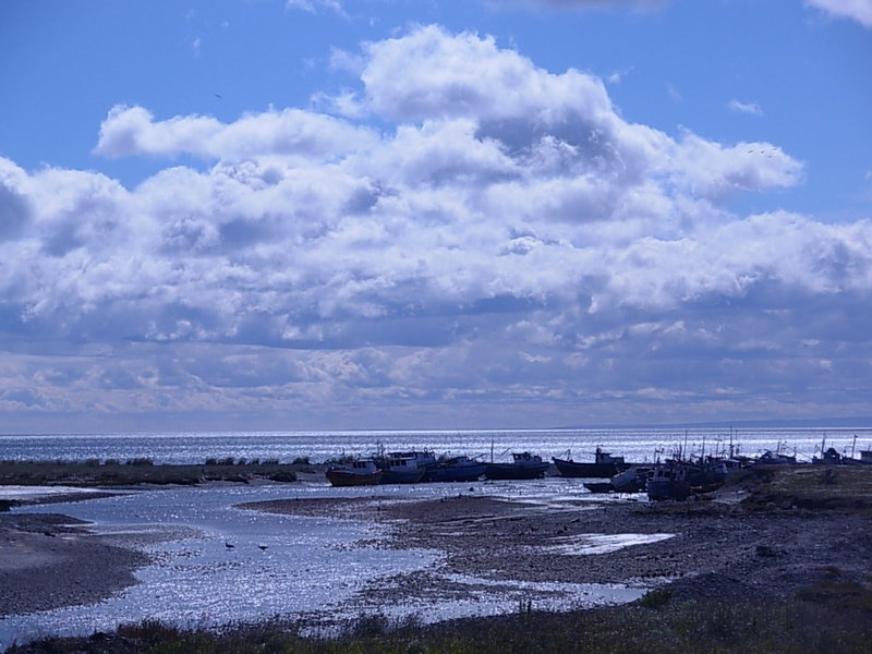 Foto de Punta Arenas, Chile