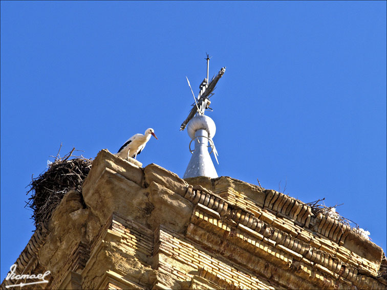 Foto de Luna (Zaragoza), España