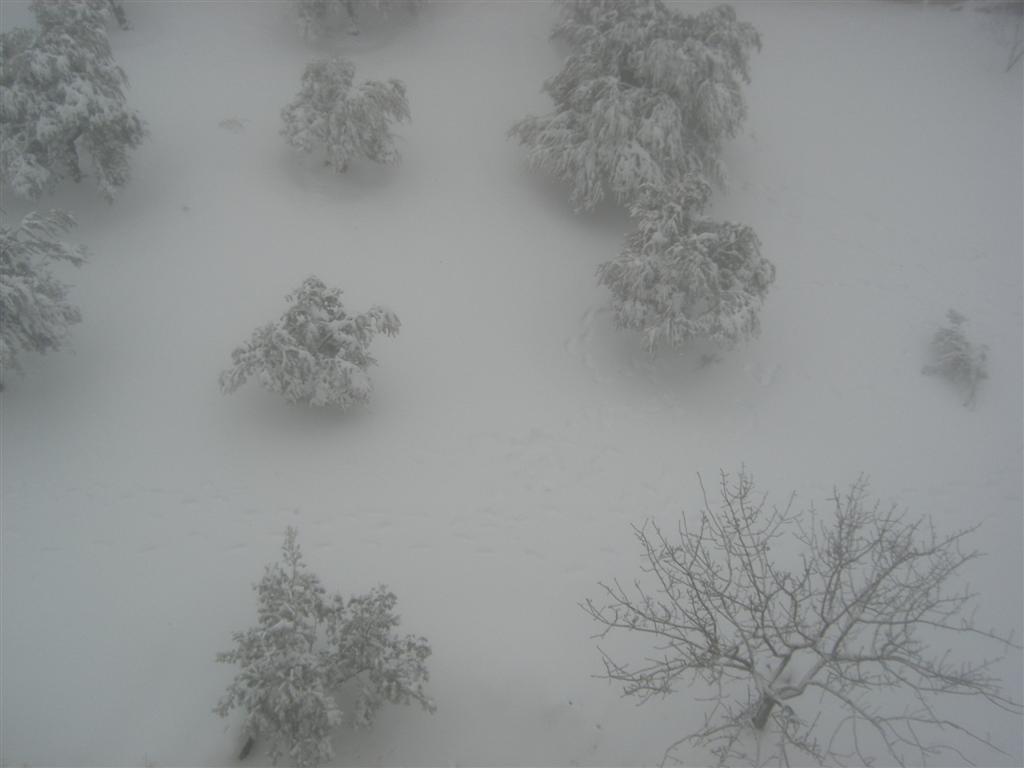 Foto de Sueda, La República Árabe Siria