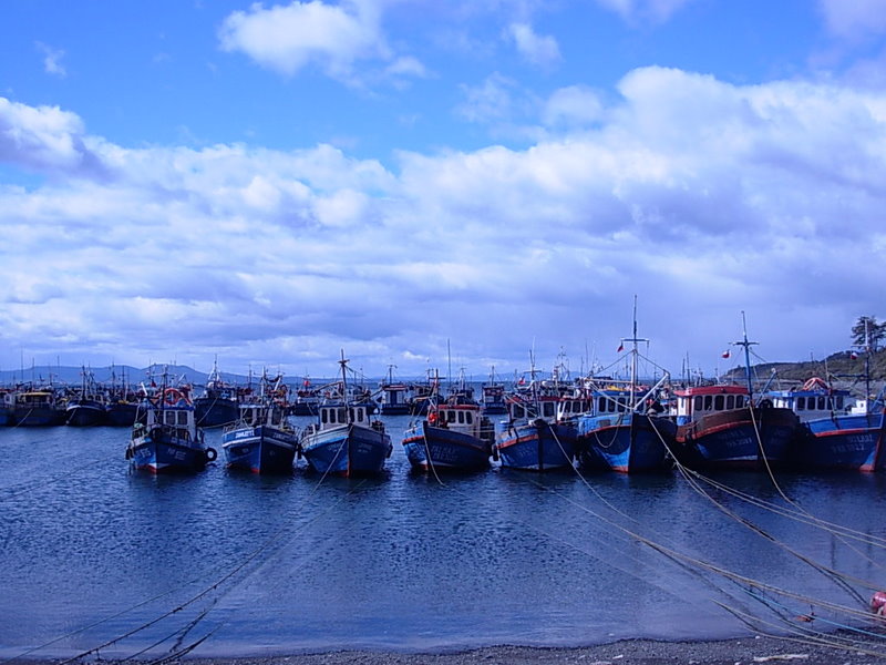 Foto de Punta Arenas, Chile