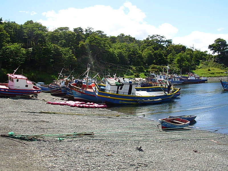 Foto de Punta Arenas, Chile