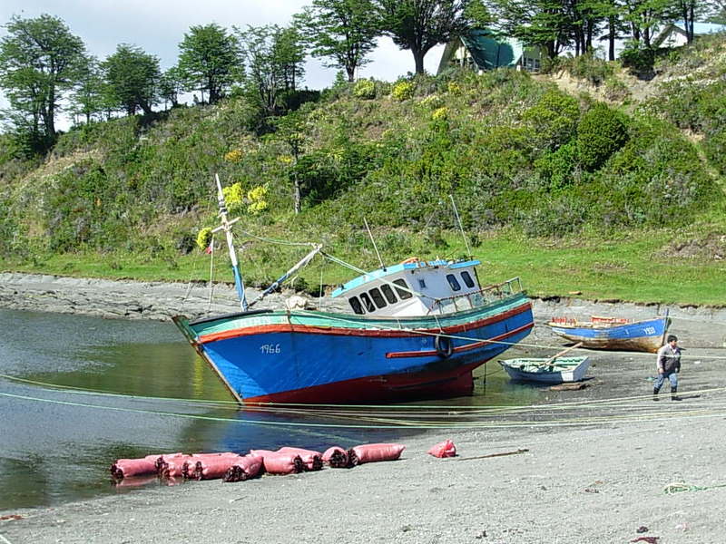Foto de Punta Arenas, Chile