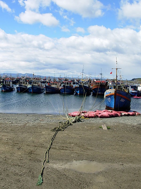 Foto de Punta Arenas, Chile