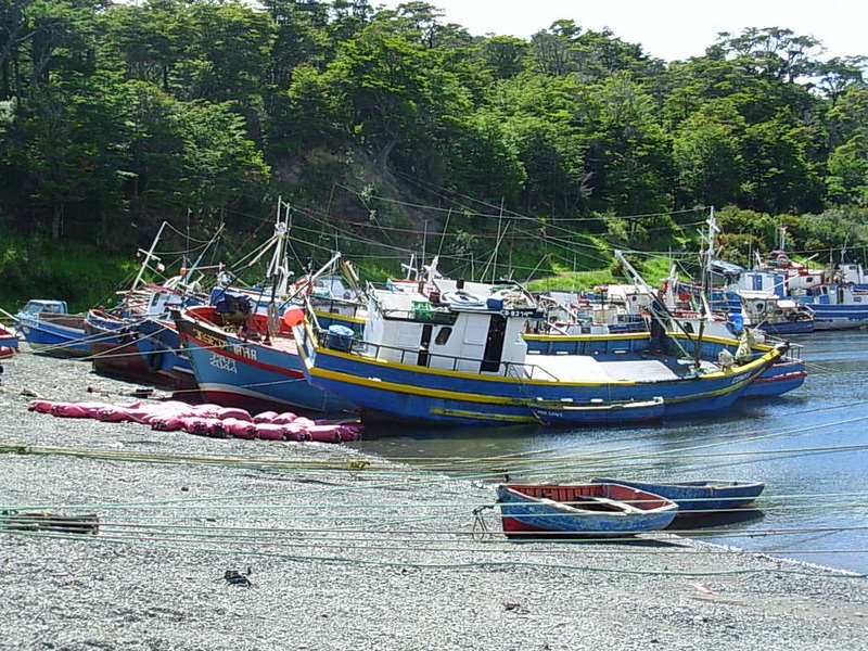 Foto de Punta Arenas, Chile