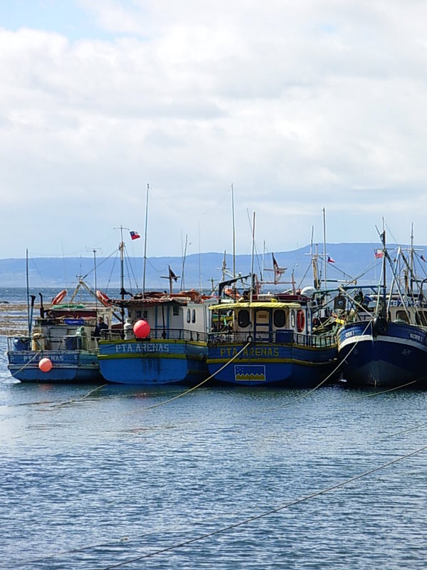 Foto de Punta Arenas, Chile