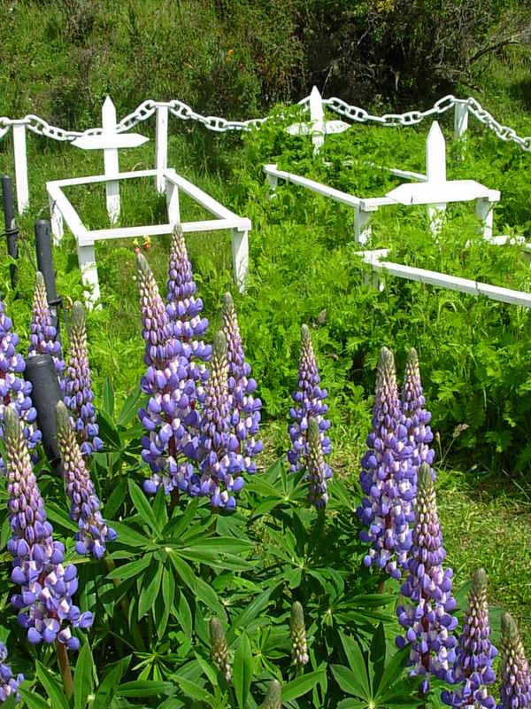 Foto de Punta Arenas, Chile