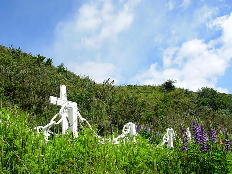 Foto de Punta Arenas, Chile