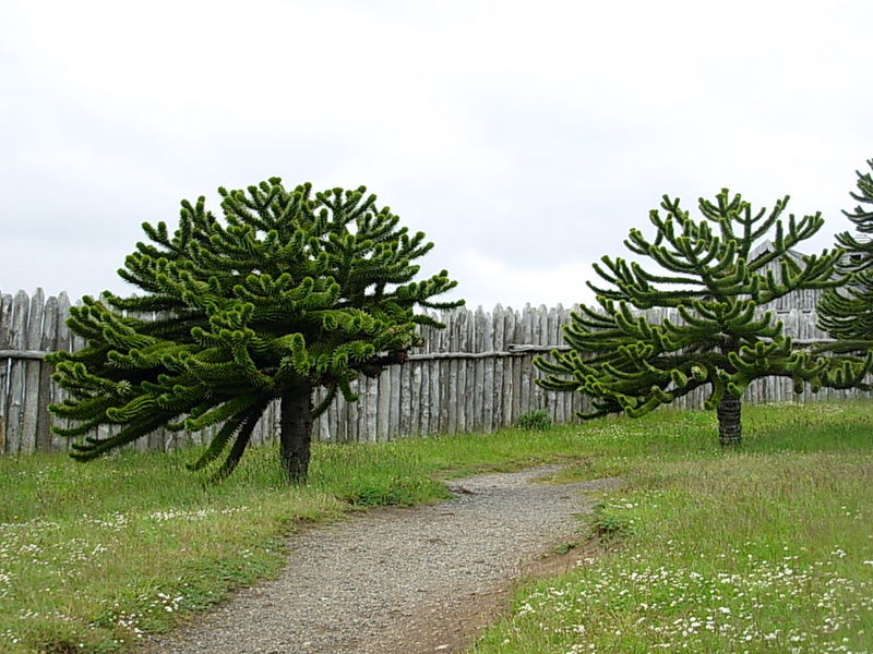 Foto de Punta Arenas, Chile