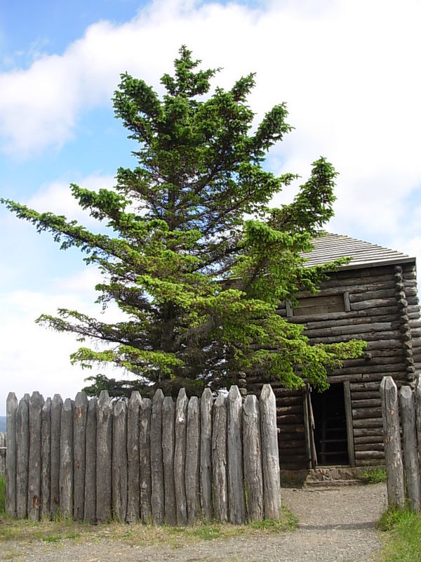 Foto de Punta Arenas, Chile