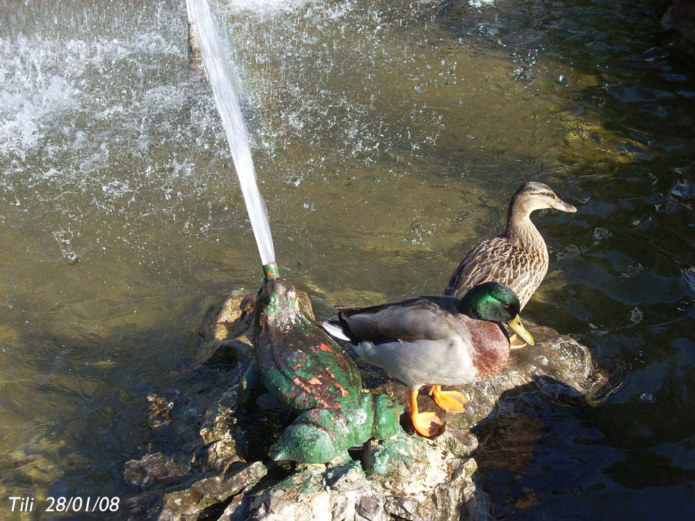 Foto de Oviedo (Asturias), España