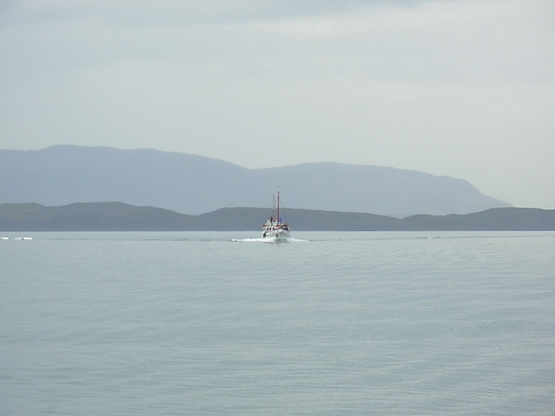 Foto de Puerto Natales, Chile
