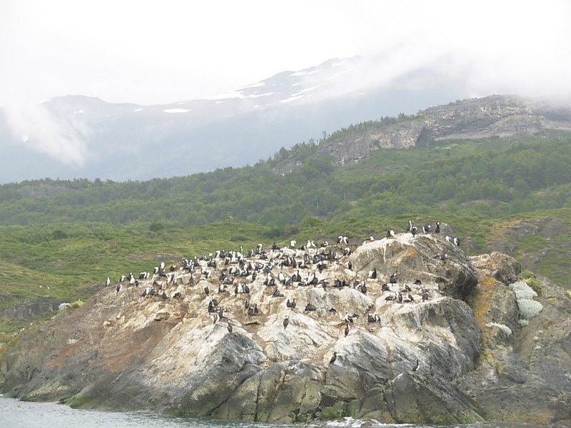 Foto de Puerto Natales, Chile