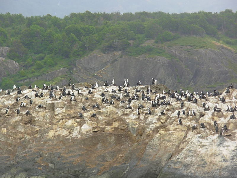 Foto de Puerto Natales, Chile