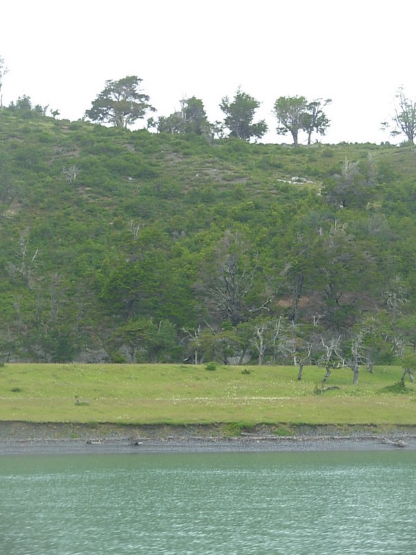 Foto de Puerto Natales, Chile