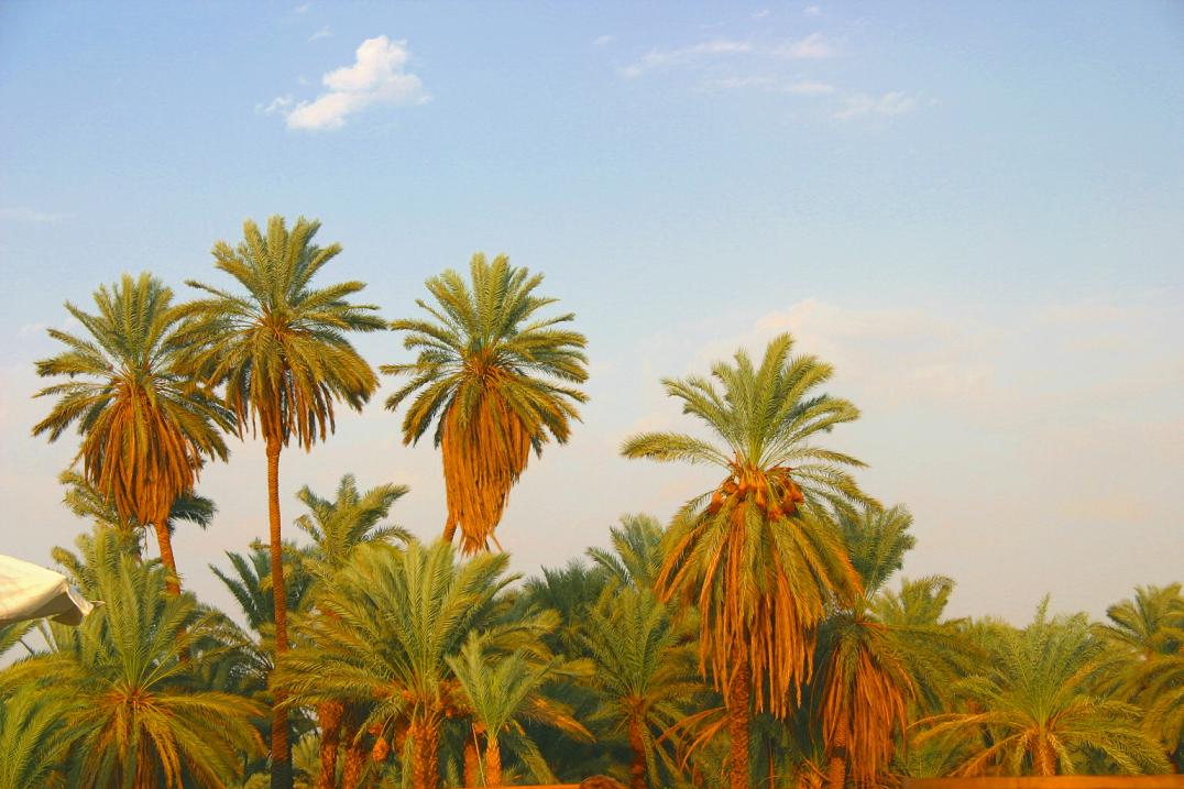 Foto de Edfu, Egipto