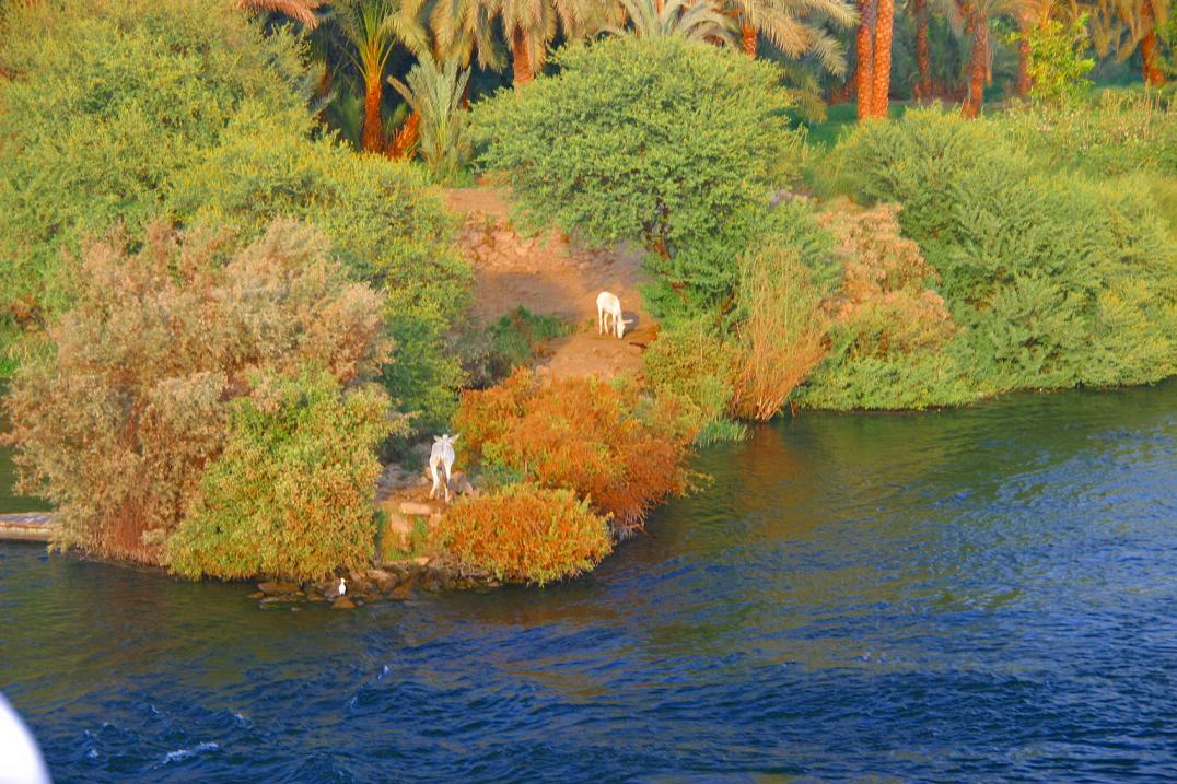 Foto de Edfu, Egipto