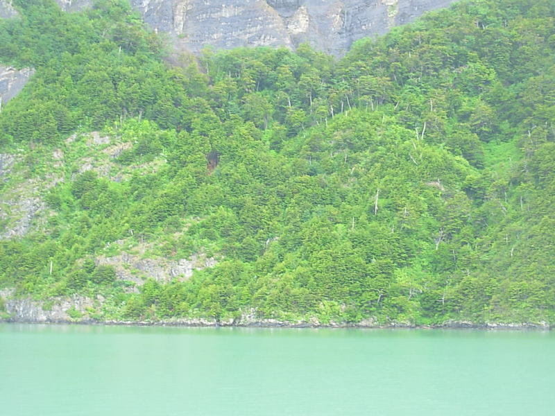 Foto de Puerto Natales, Chile
