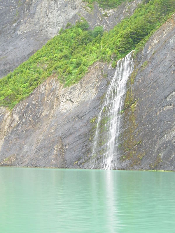Foto de Puerto Natales, Chile