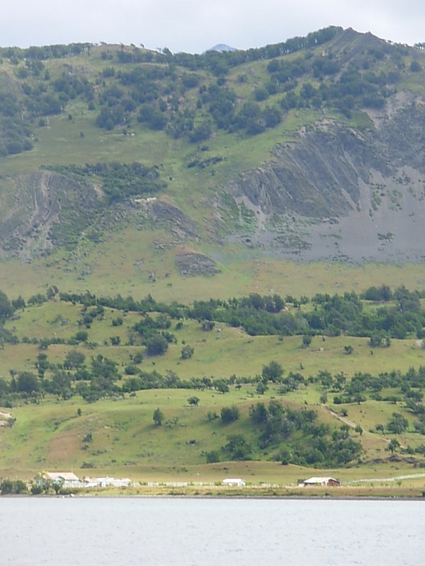 Foto de Puerto Natales, Chile