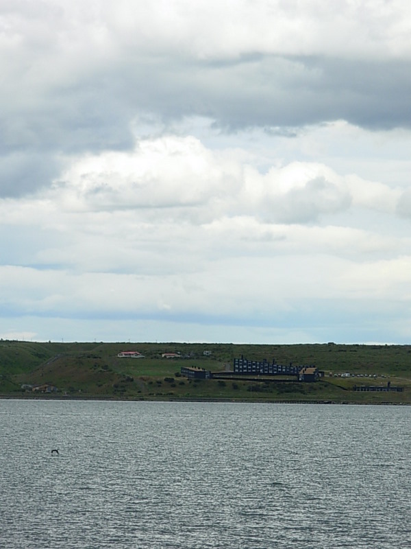 Foto de Puerto Natales, Chile