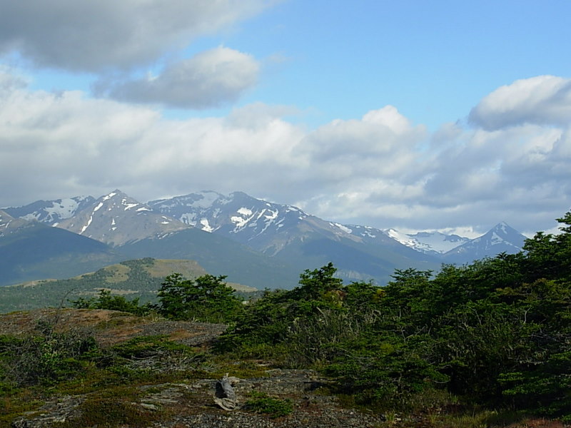 Foto de Puerto Natales, Chile