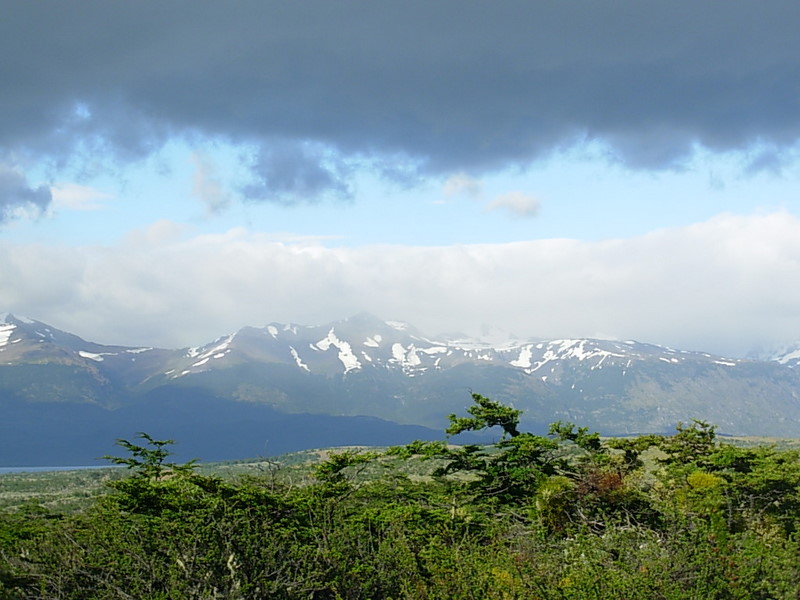 Foto de Puerto Natales, Chile