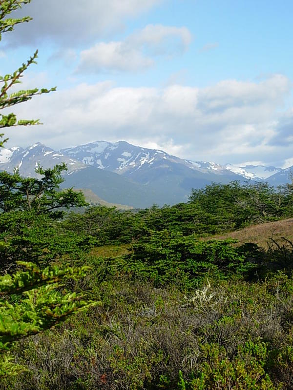 Foto de Puerto Natales, Chile