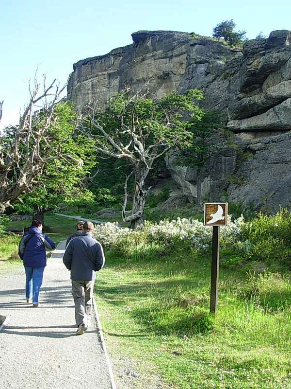 Foto de Puerto Natales, Chile