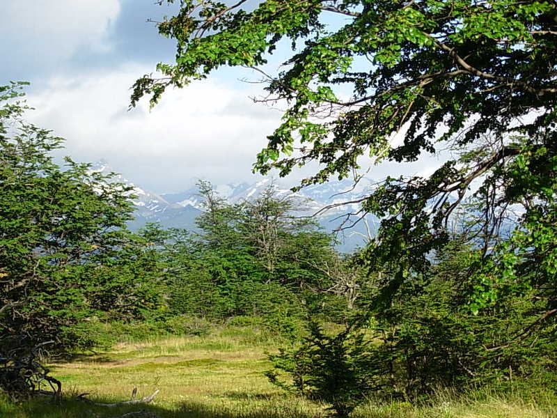 Foto de Puerto Natales, Chile