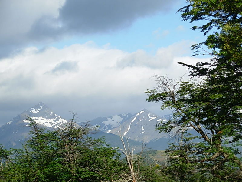 Foto de Puerto Natales, Chile
