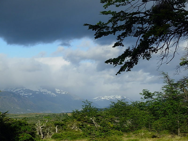 Foto de Puerto Natales, Chile