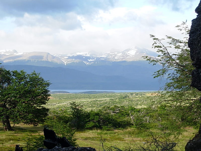 Foto de Puerto Natales, Chile
