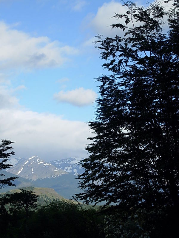 Foto de Puerto Natales, Chile