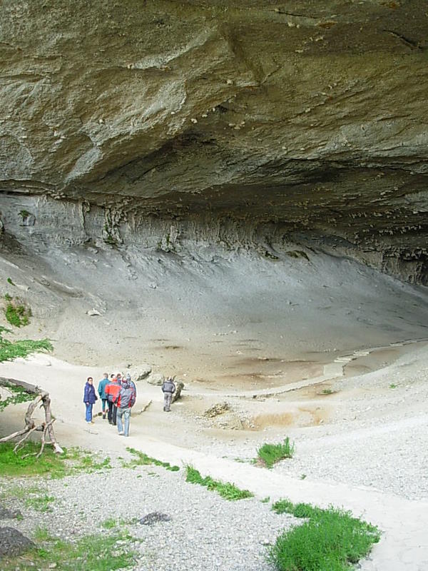 Foto de Puerto Natales, Chile