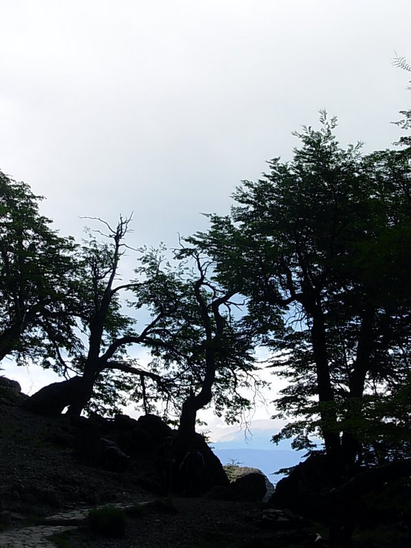Foto de Puerto Natales, Chile