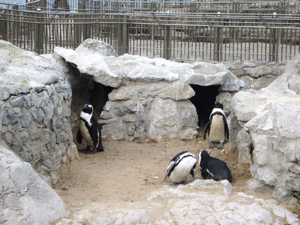 Foto de Santander (Cantabria), España